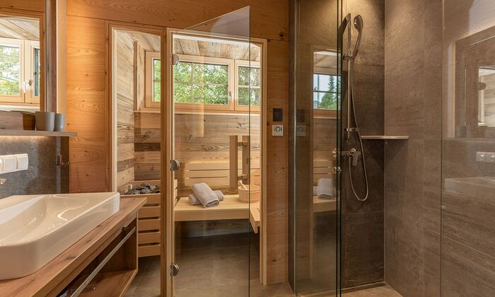Bathroom with shower and sauna